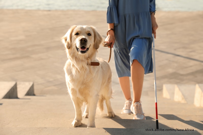 Frau mit Therapiehund