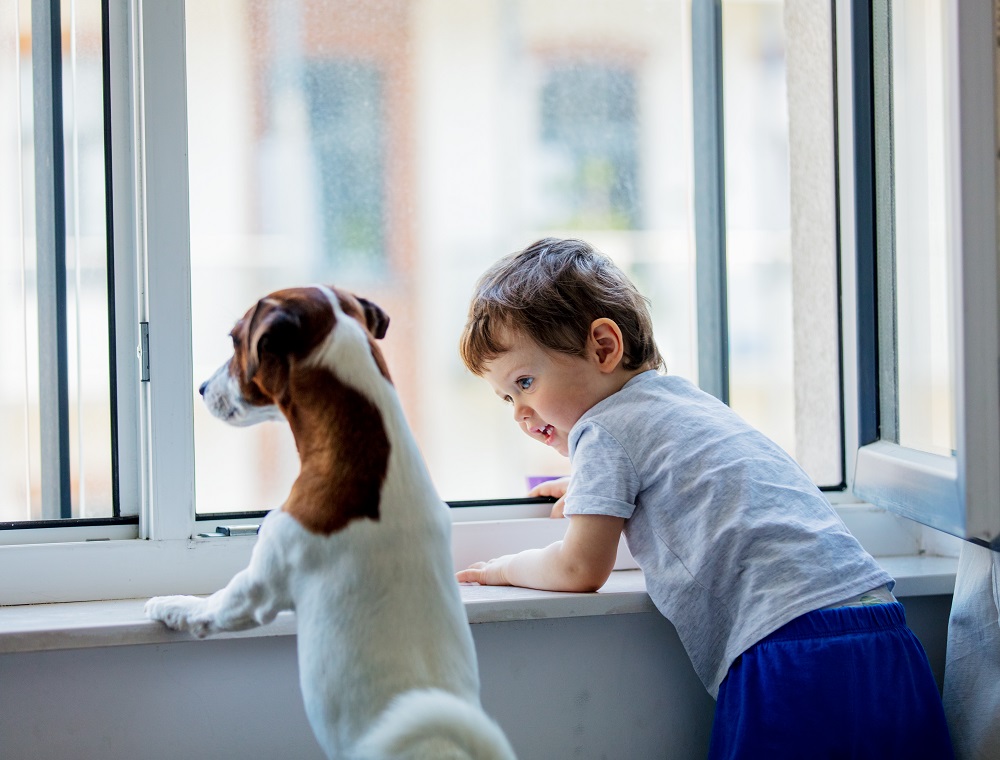 Junge mit Hund